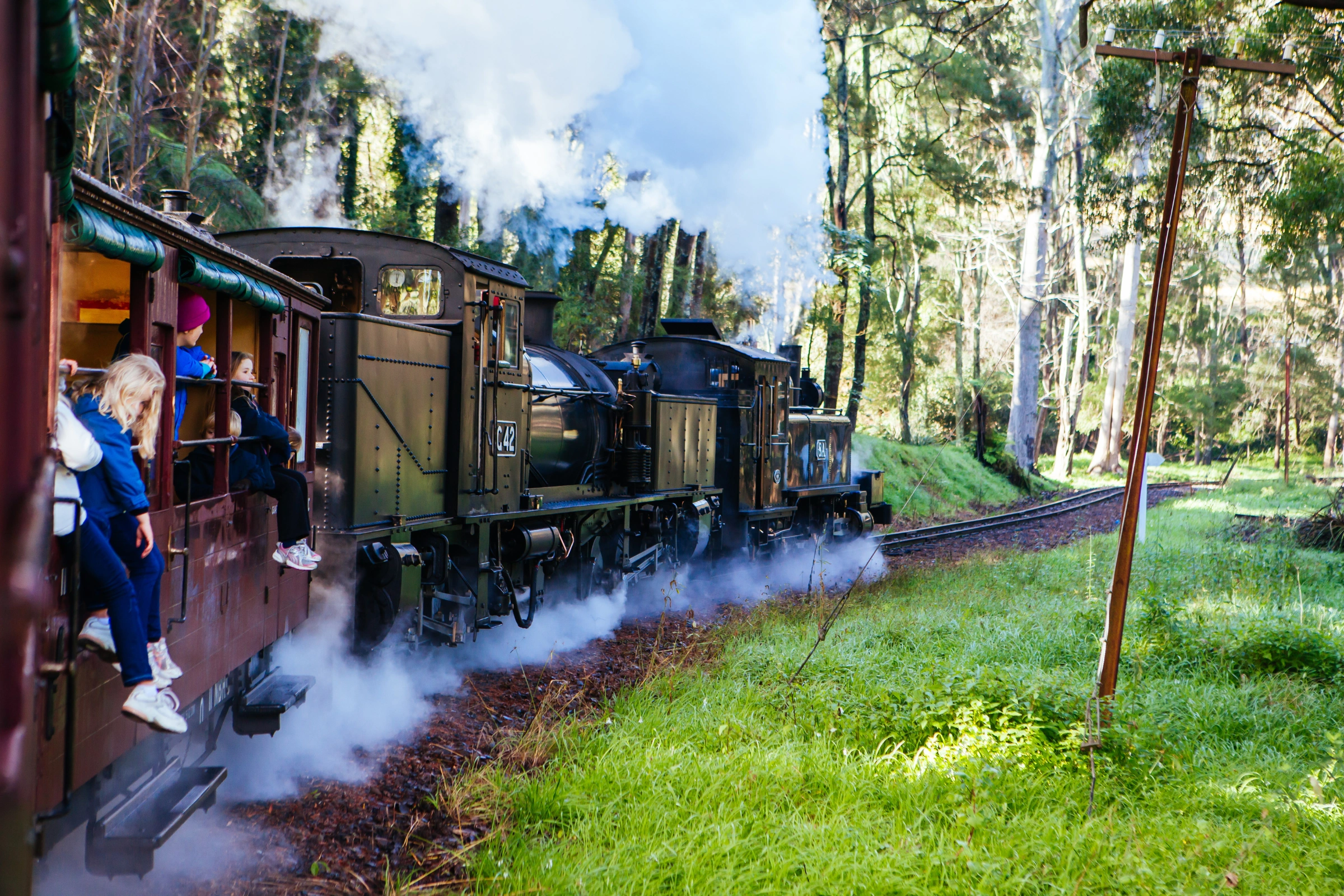 Puffing_Billy_Railway[1].webp